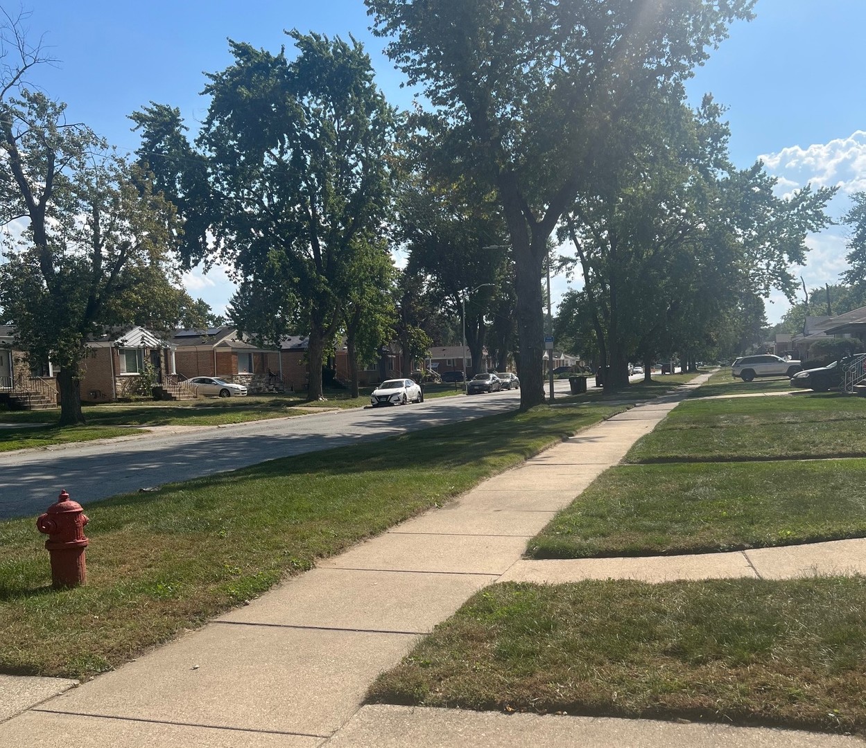 14222 S Woodlawn Avenue, Dolton, IL 60419