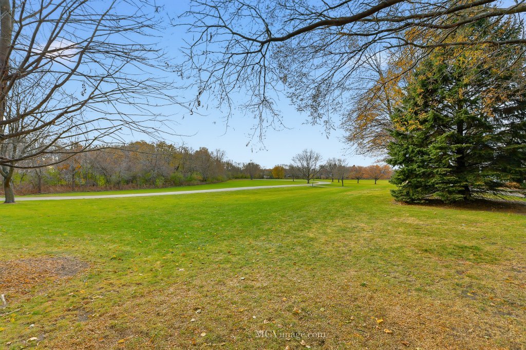 2175 Dalewood Court, Plainfield, IL 60586