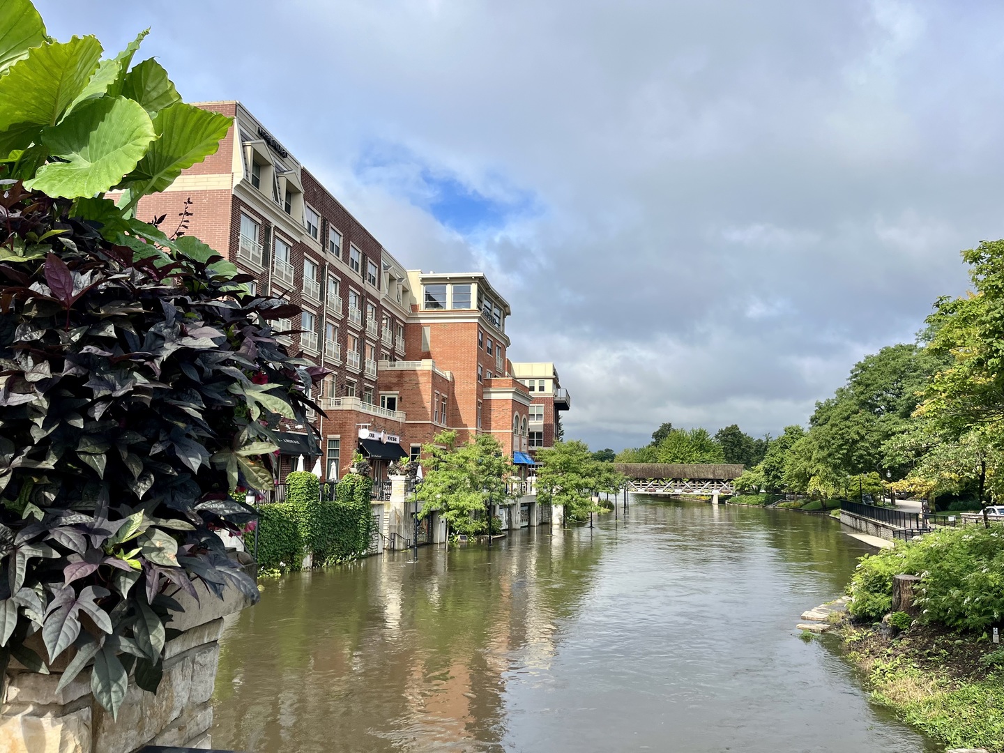 629 S Main Street #BACK, Naperville, IL 60540