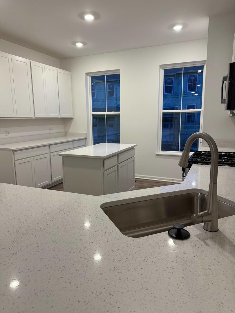 14940 S Dyer Lane #14940, Plainfield, IL 60544