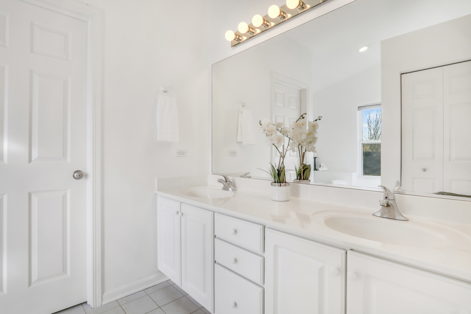 34239 N Larkspur Court, Round Lake, IL 60073