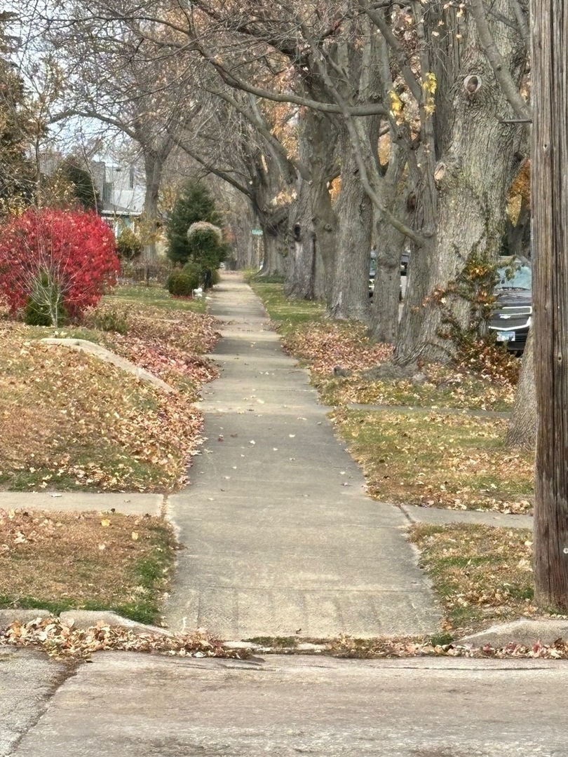 1003 S Poplar Avenue, Kankakee, IL 60901