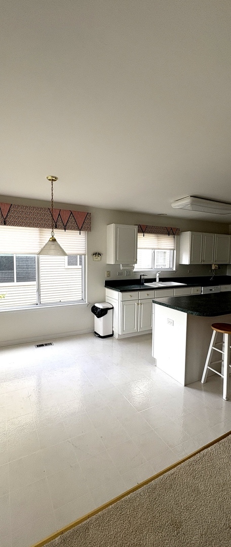 21316 W Redwood Drive, Plainfield, IL 60544