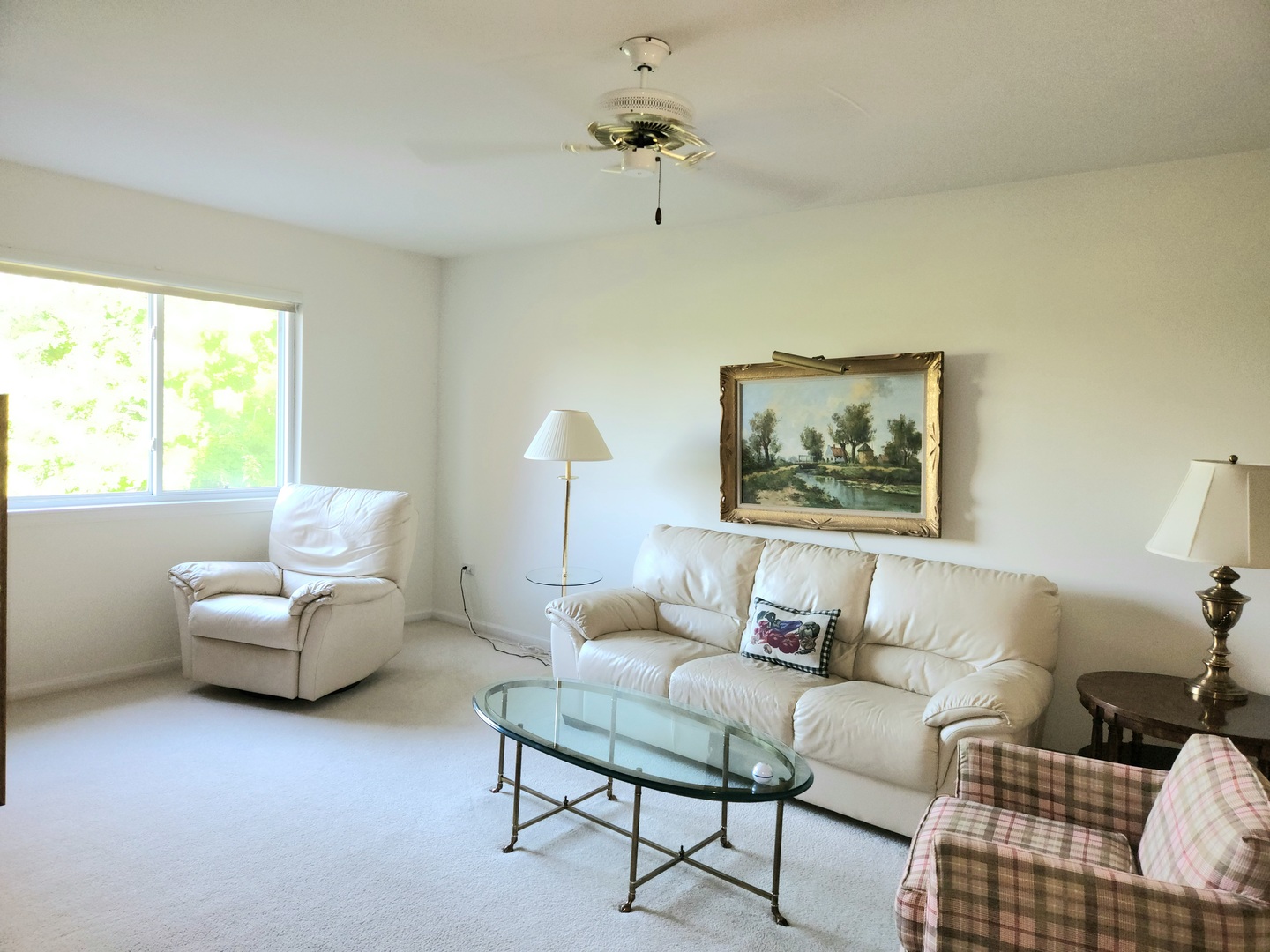 21316 W Redwood Drive, Plainfield, IL 60544