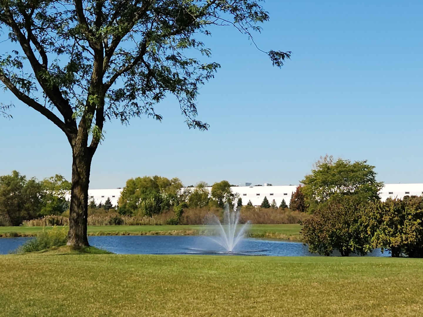 21316 W Redwood Drive, Plainfield, IL 60544