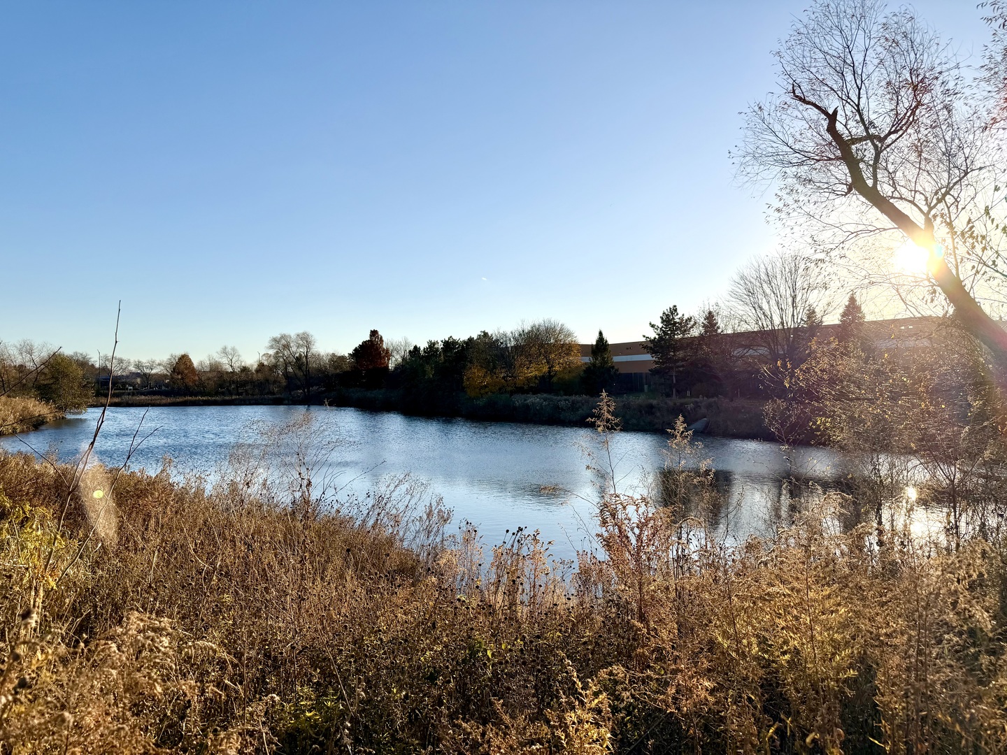 120 Stirling Lane #Z1, Schaumburg, IL 60194