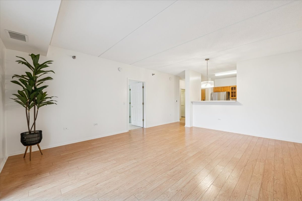 440 W Mahogany Court #203, Palatine, IL 60067