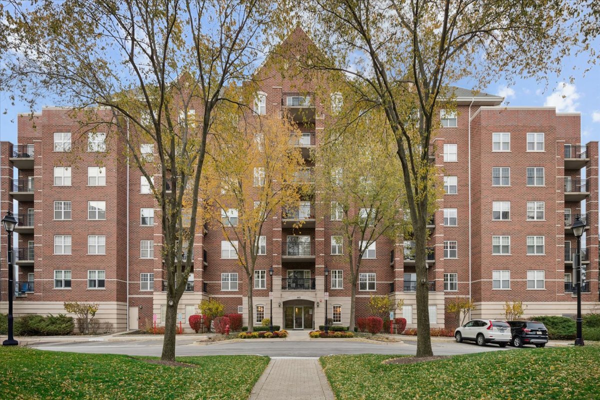 440 W Mahogany Court #203, Palatine, IL 60067