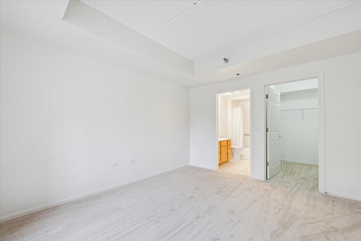 440 W Mahogany Court #203, Palatine, IL 60067