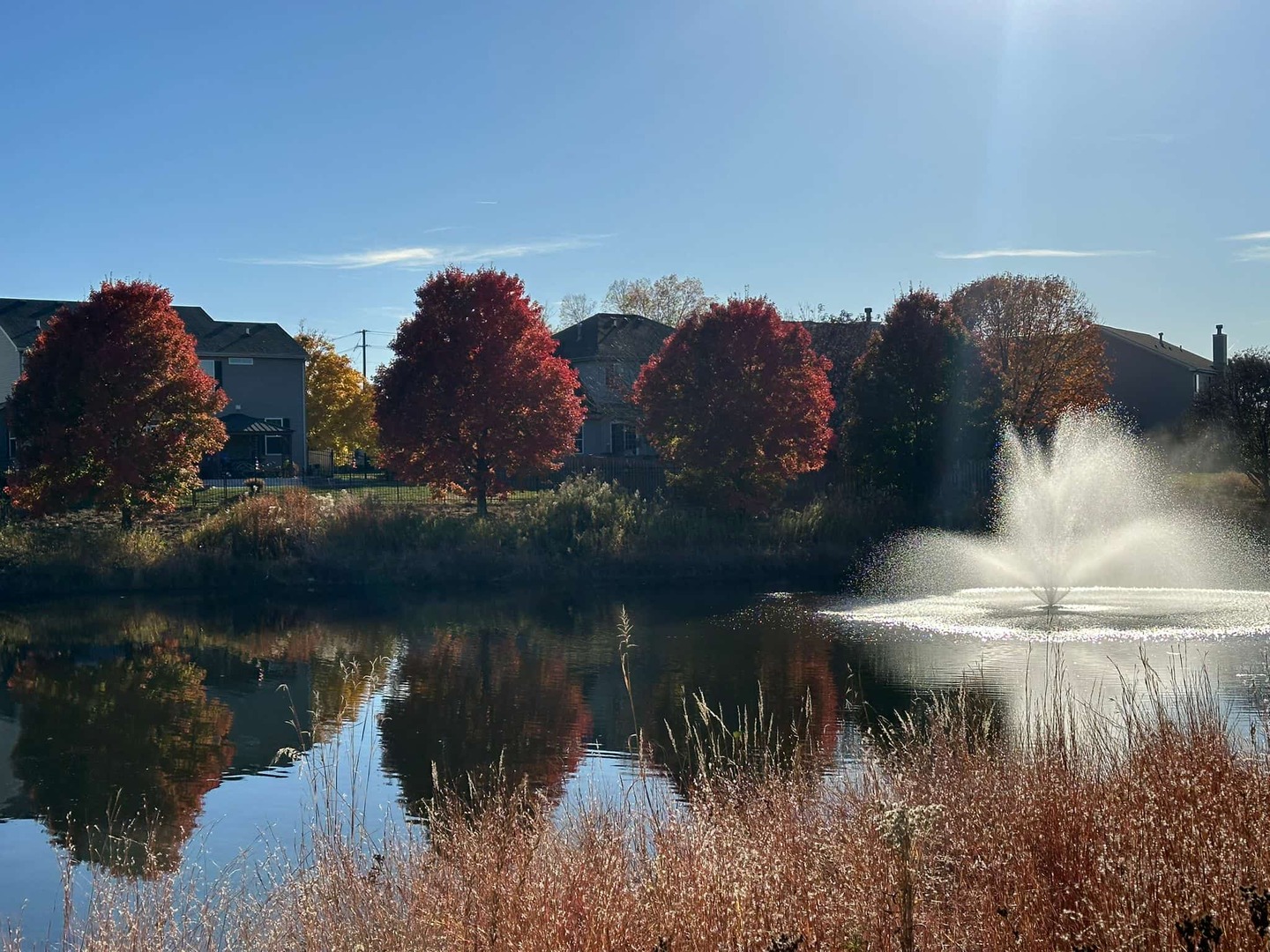 1103 BAYSIDE Lane, Shorewood, IL 60404