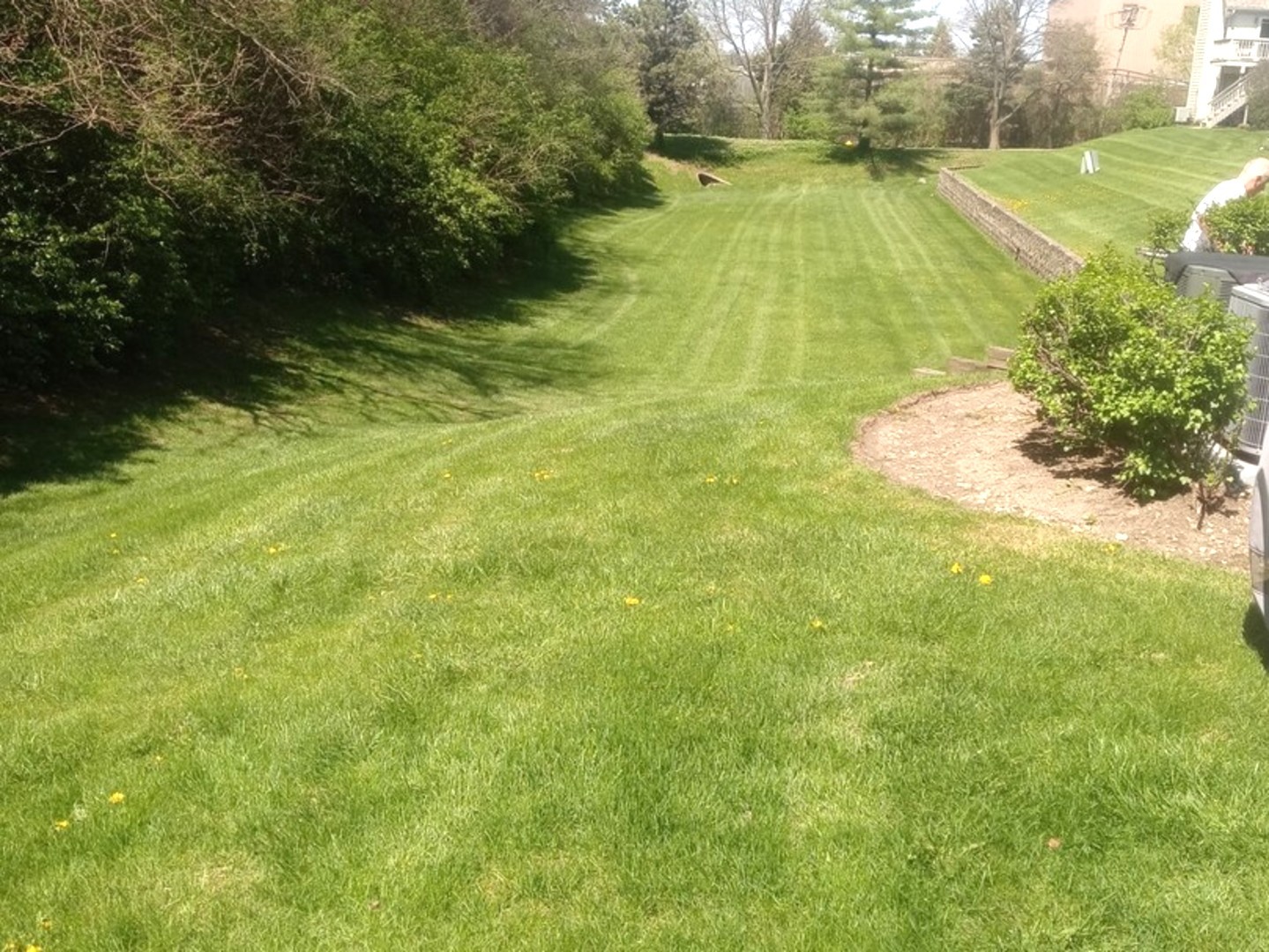 5434 Ashbrook Place #-, Downers Grove, IL 60515