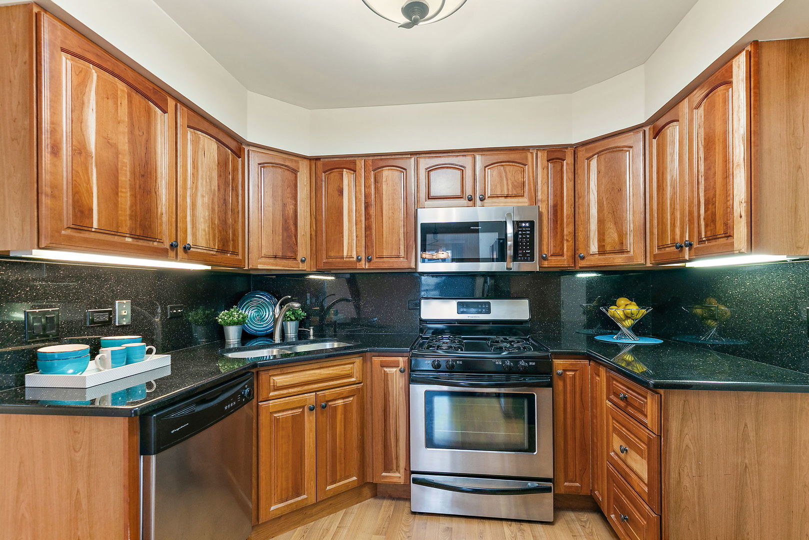 2659 College Hill Circle, Schaumburg, IL 60173