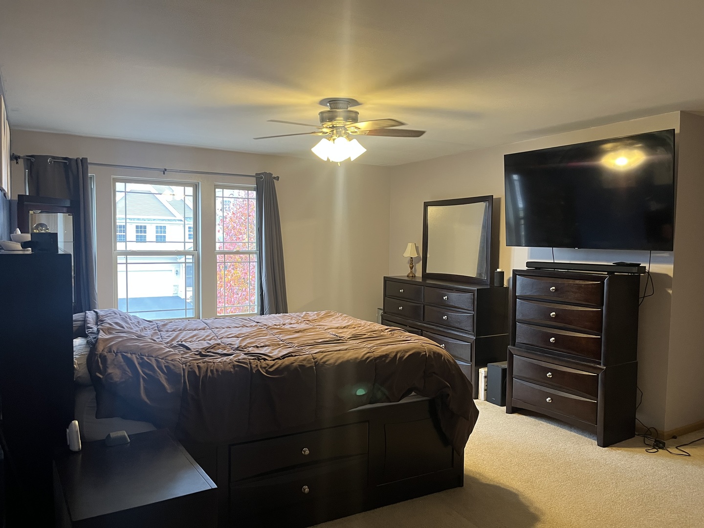 806 Treesdale Way, Joliet, IL 60431