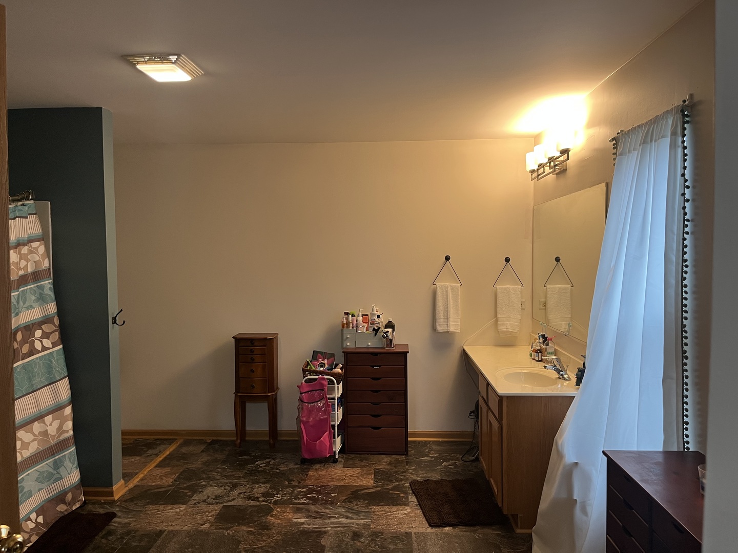 806 Treesdale Way, Joliet, IL 60431