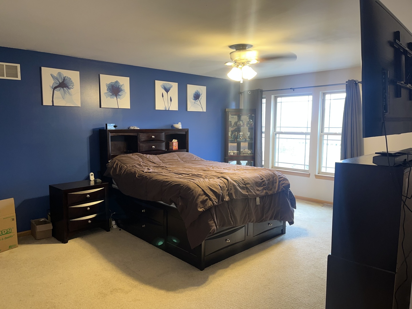 806 Treesdale Way, Joliet, IL 60431