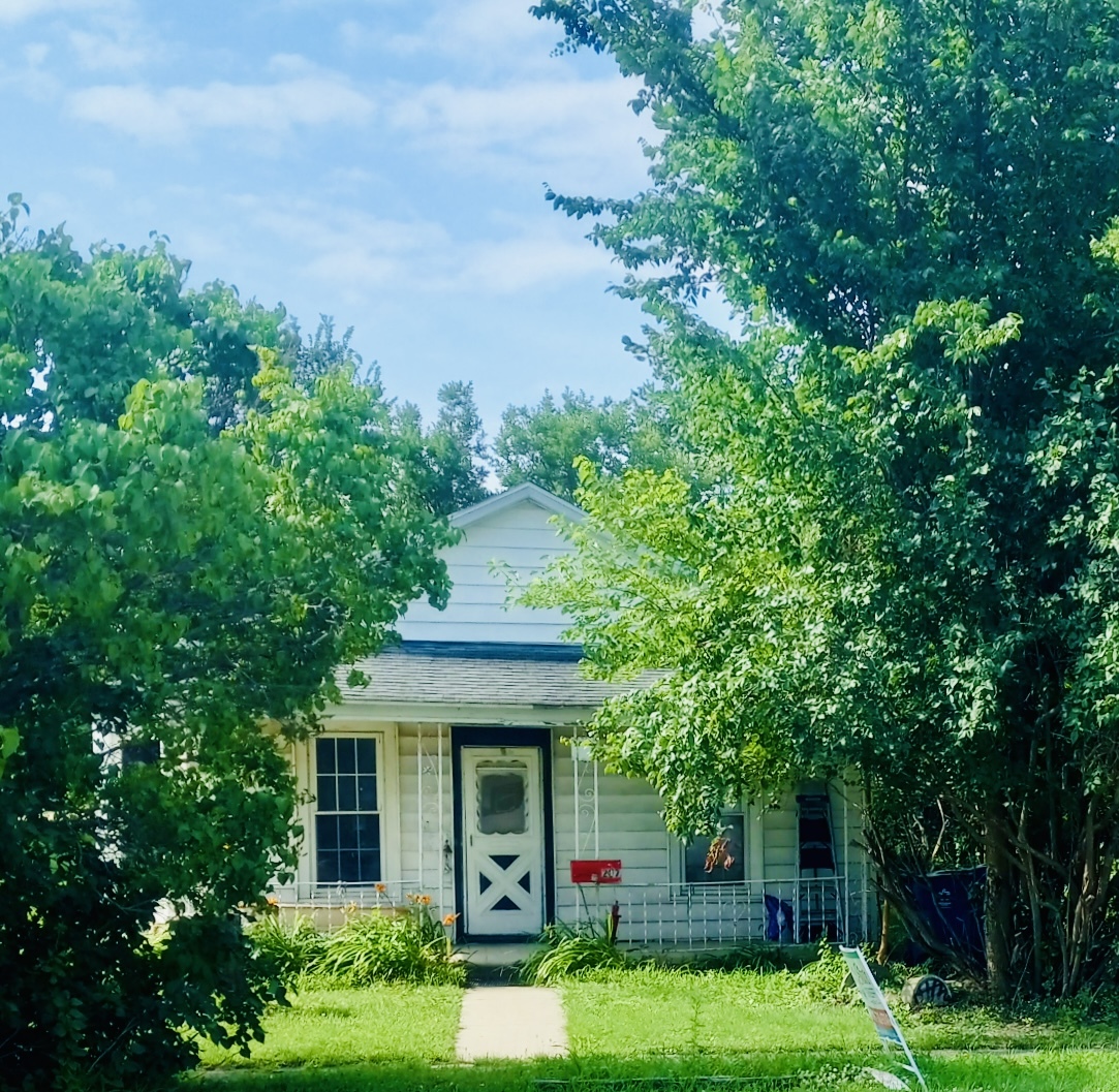 207 W Williams Street, Dwight, IL 60420