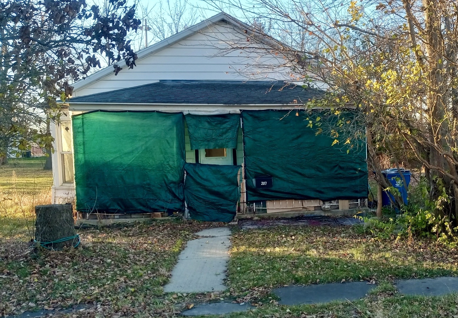 207 W Williams Street, Dwight, IL 60420