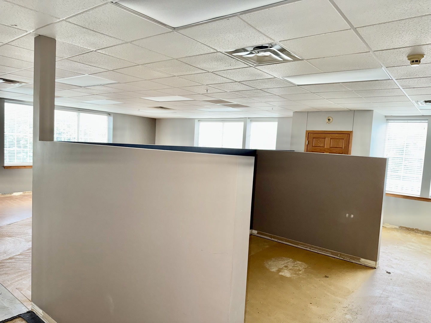 20646 Abbeywood Court #204, Frankfort, IL 60423