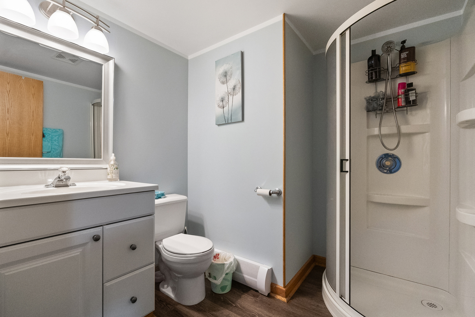 8232 S Ferdinand Avenue, Bridgeview, IL 60455