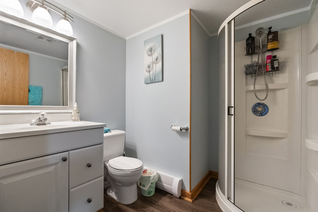 8232 S Ferdinand Avenue, Bridgeview, IL 60455