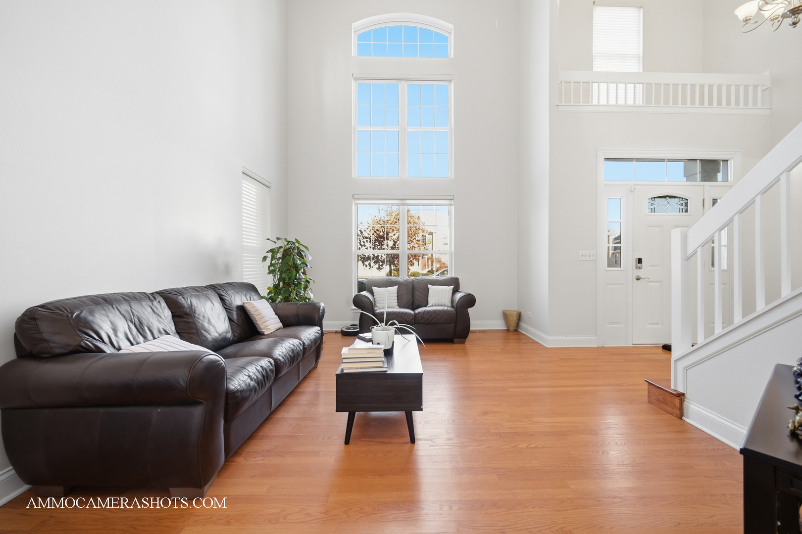 1205 Red Clover Drive, Naperville, IL 60564