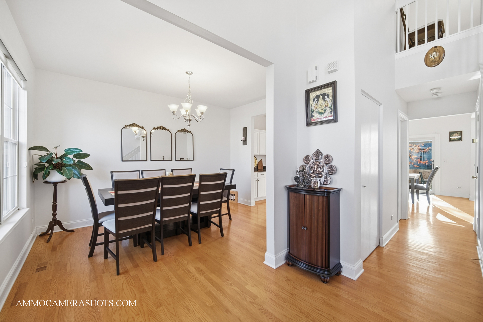 1205 Red Clover Drive, Naperville, IL 60564