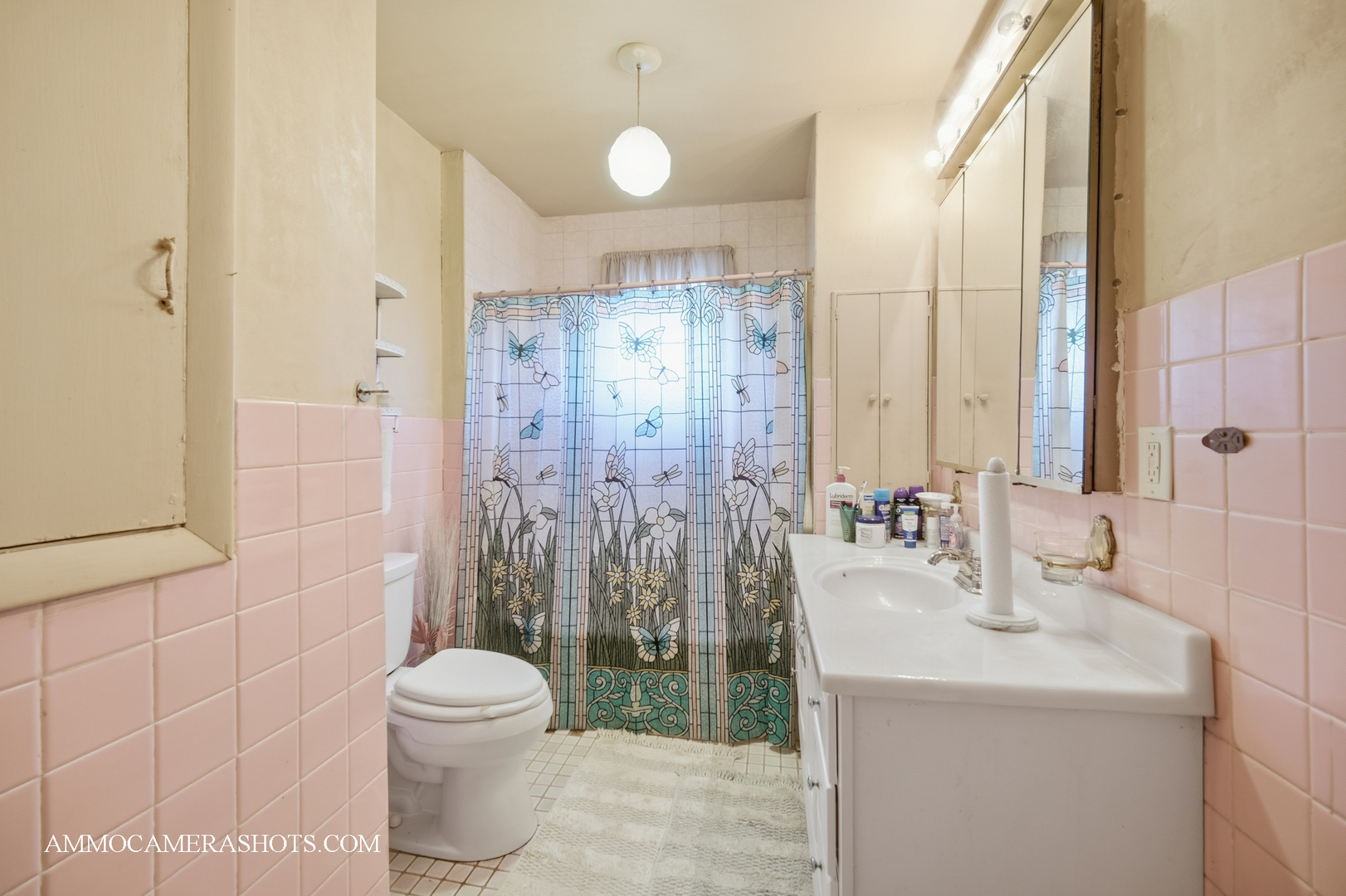 1317 Seeley Avenue, Chicago Heights, IL 60411