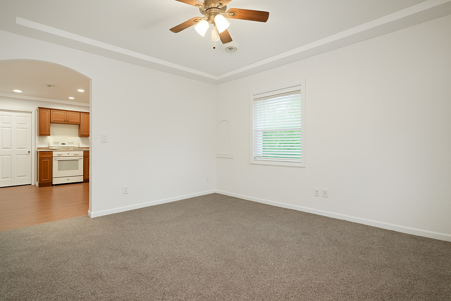 222 S Lincoln Street, Braidwood, IL 60408