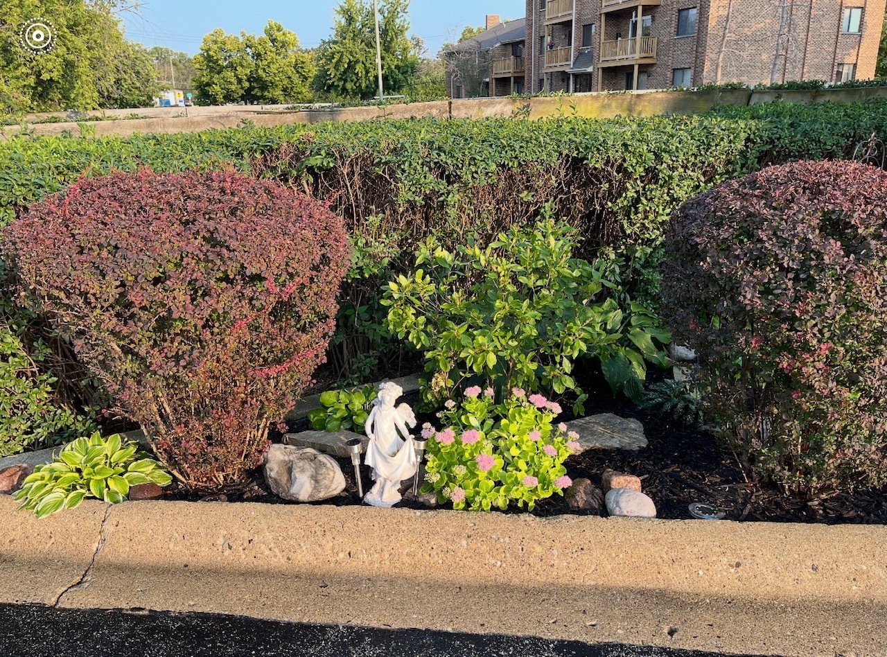 1755 Rand Road #7, Des Plaines, IL 60016