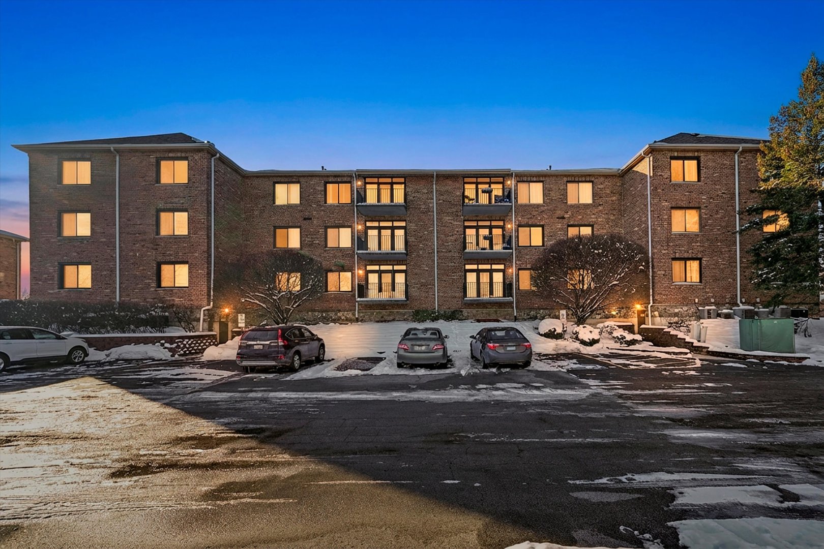 11001 Deblin Lane #203, Oak Lawn, IL 60453