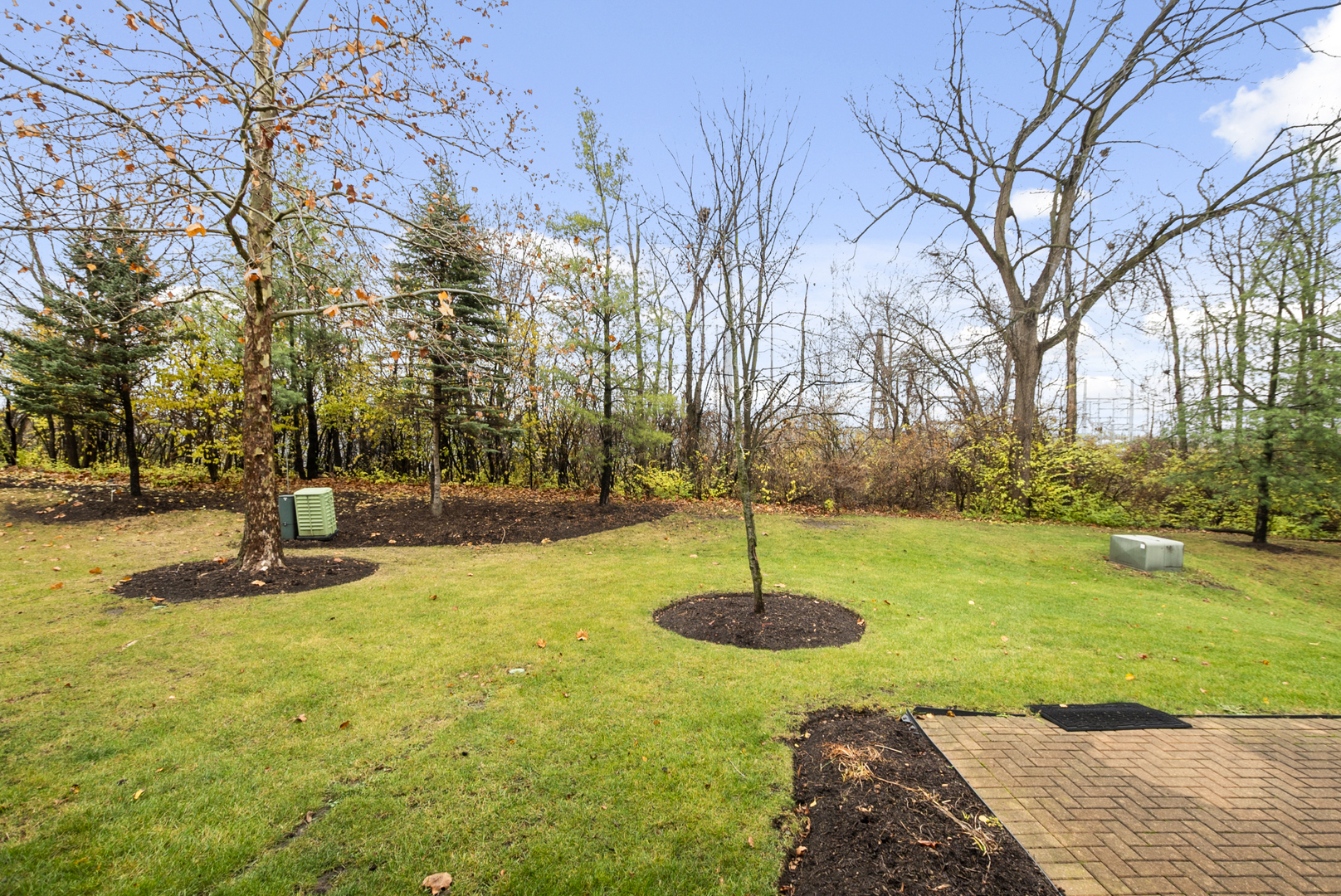 4715 Auvergne Avenue #4715, Lisle, IL 60532