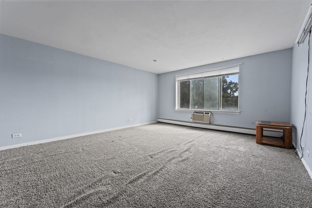 1475 Rebecca Drive #217, Hoffman Estates, IL 60169