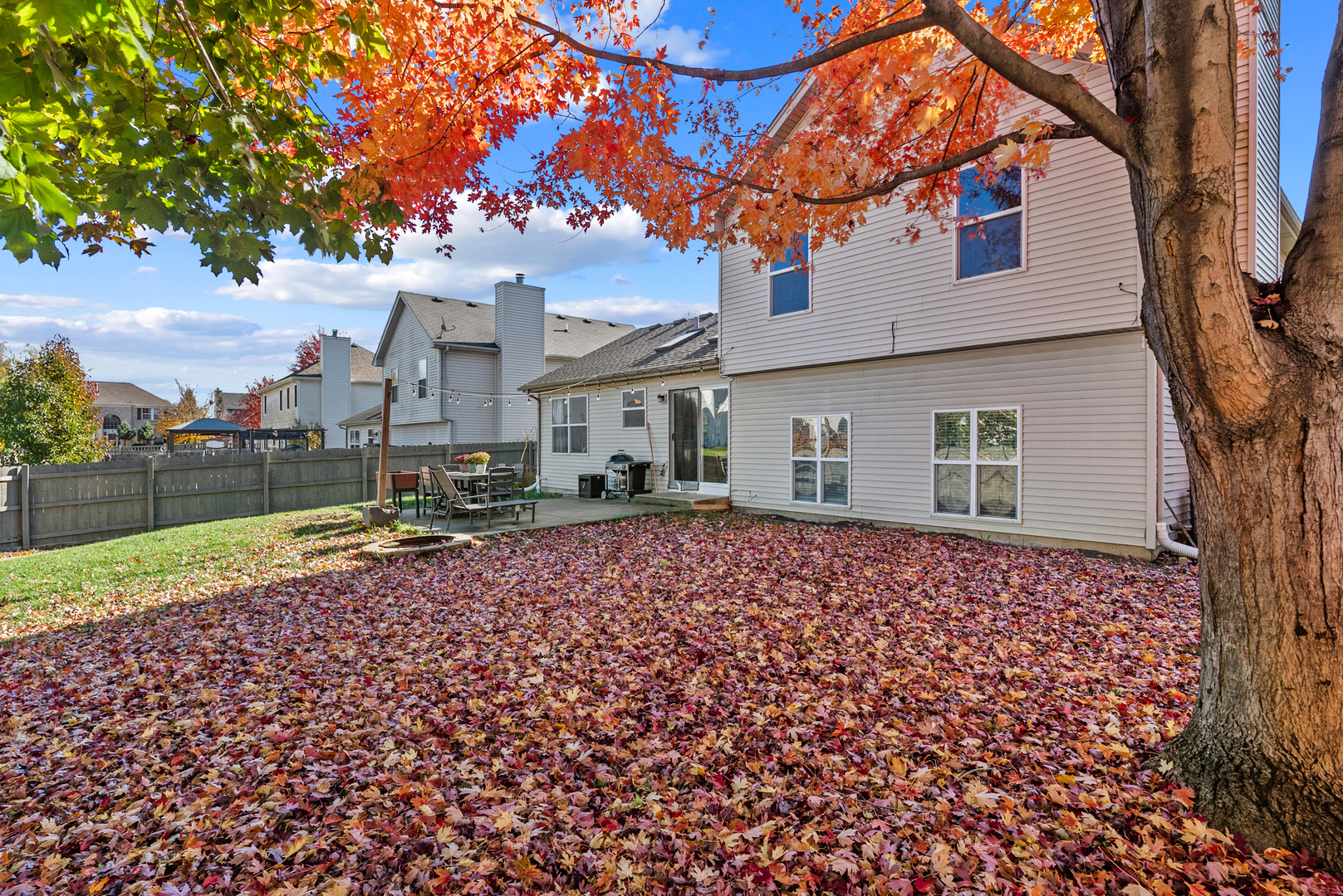 24328 Whispering Trails Drive, Plainfield, IL 60585