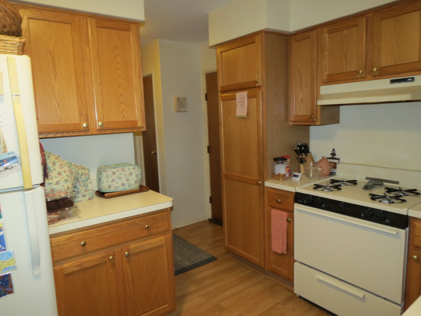 6829 Roberts Drive, Woodridge, IL 60517