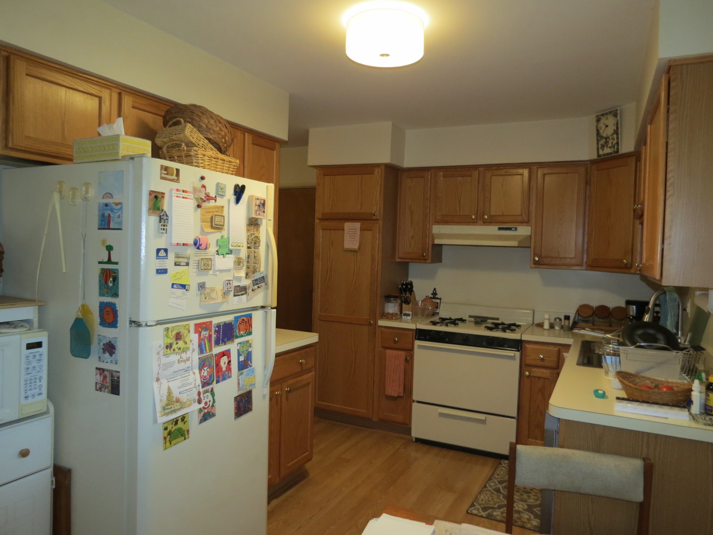 6829 Roberts Drive, Woodridge, IL 60517