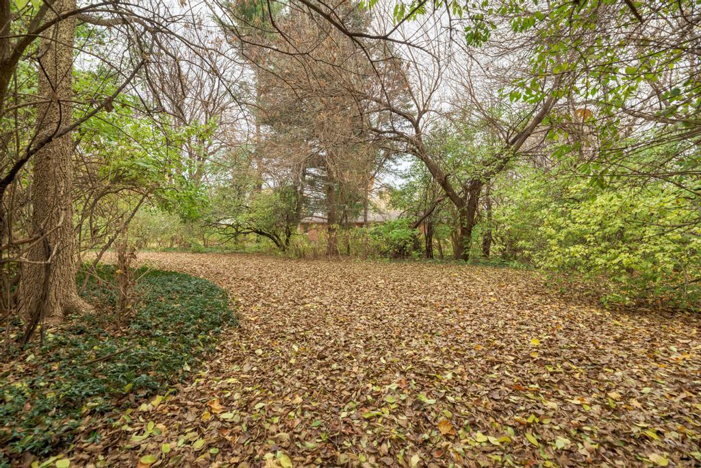 6410 Blackhawk Trail, Indian Head Park, IL 60525