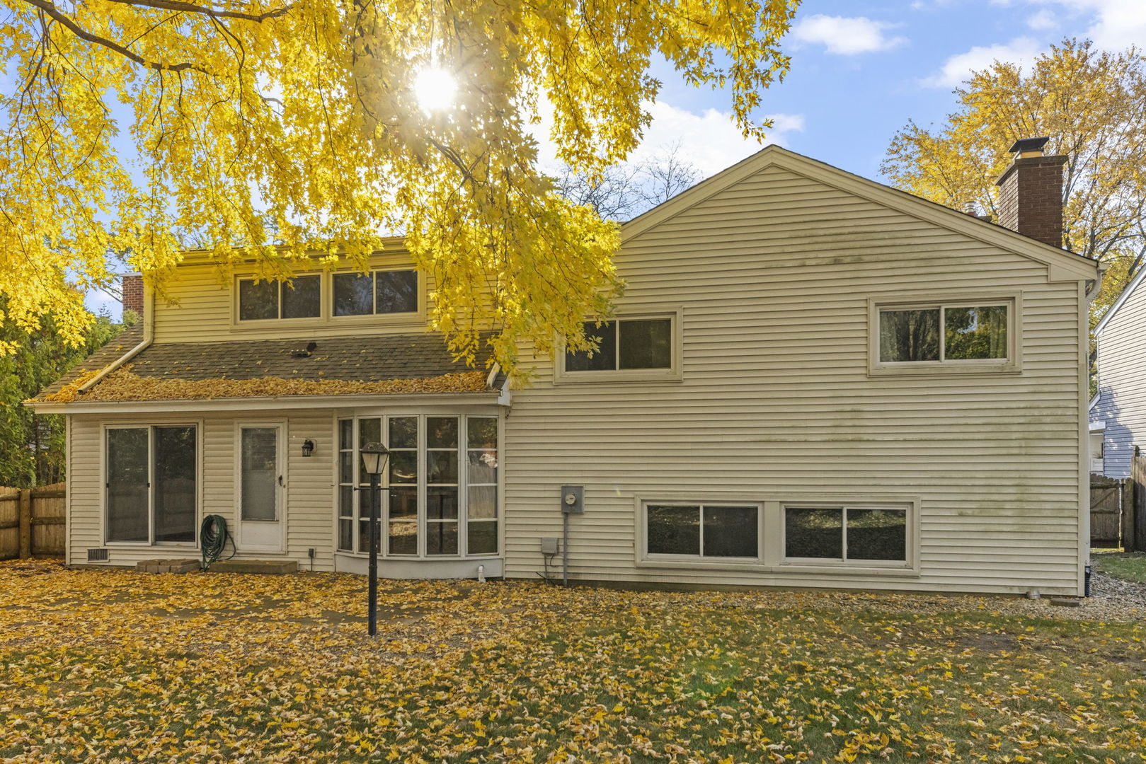 1217 EVERGREEN Avenue, Naperville, IL 60540