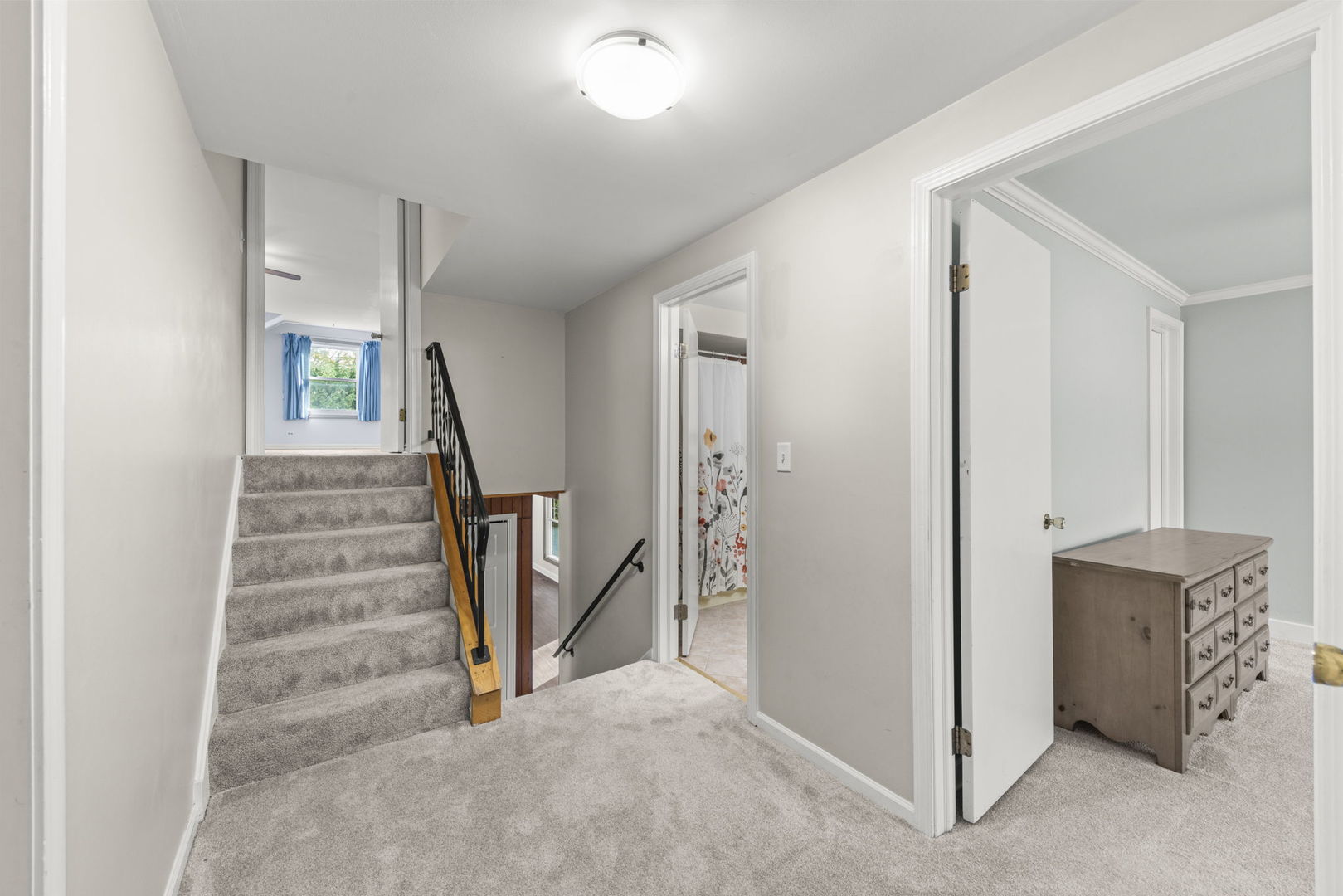 1217 EVERGREEN Avenue, Naperville, IL 60540