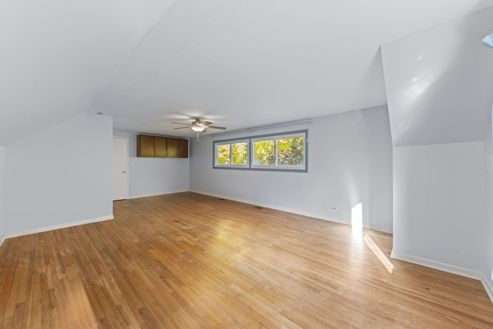 1217 EVERGREEN Avenue, Naperville, IL 60540