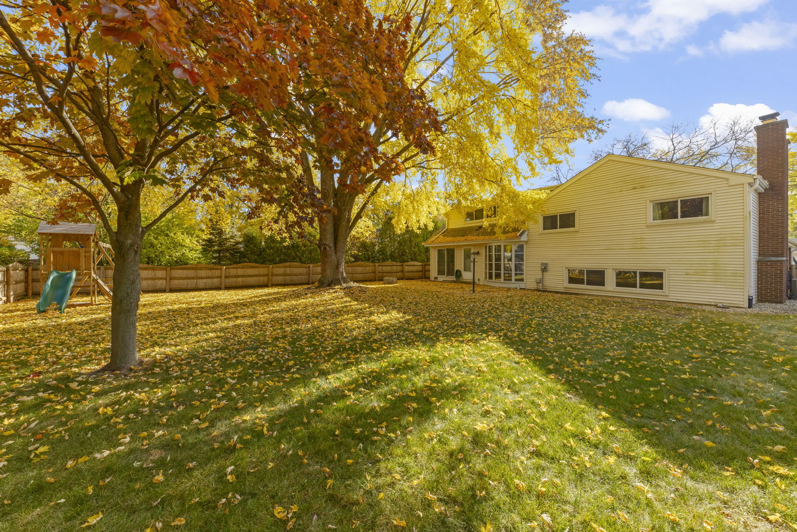 1217 EVERGREEN Avenue, Naperville, IL 60540