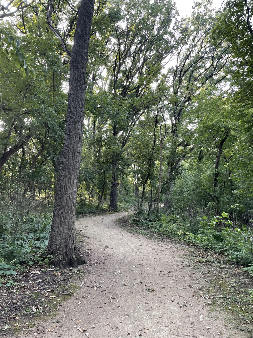 234 S CEDARCREST Drive, Schaumburg, IL 60193