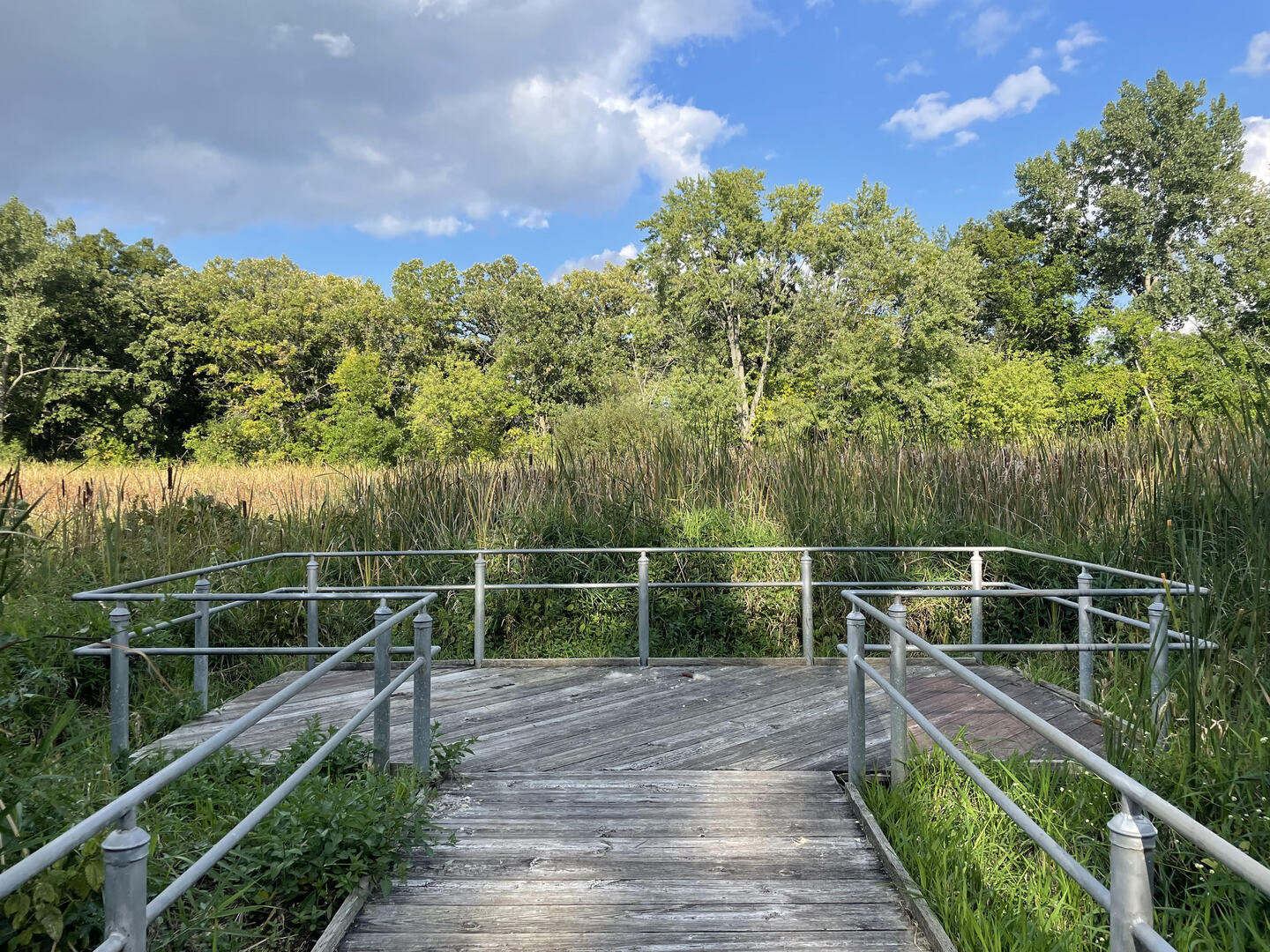 234 S CEDARCREST Drive, Schaumburg, IL 60193