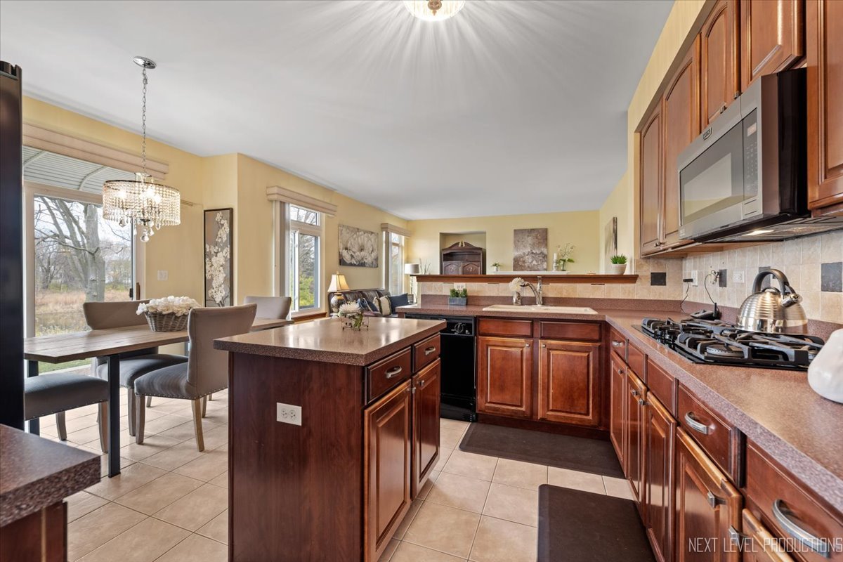 425 S Orchard Drive, Bolingbrook, IL 60440