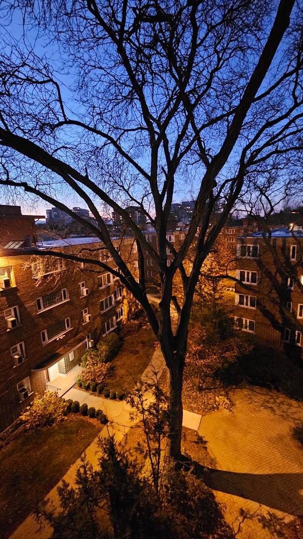 7210 Oak Avenue #4SW, River Forest, IL 60305