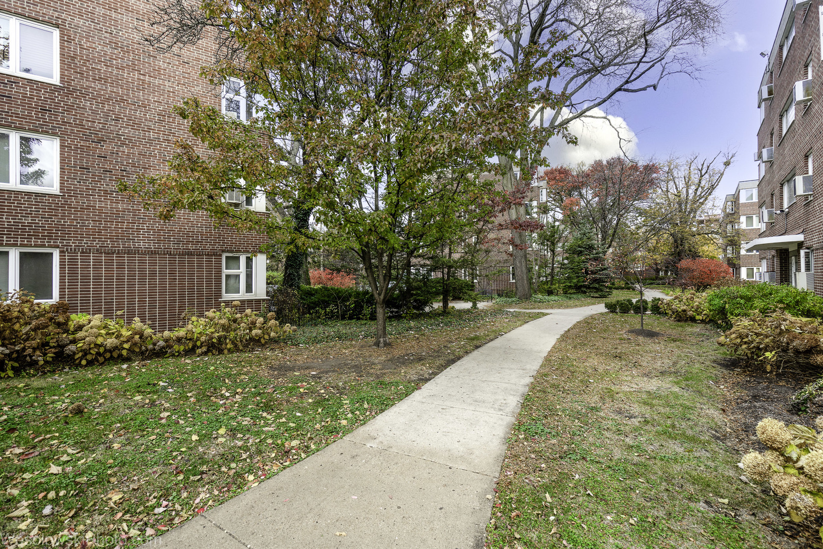 7210 Oak Avenue #4SW, River Forest, IL 60305