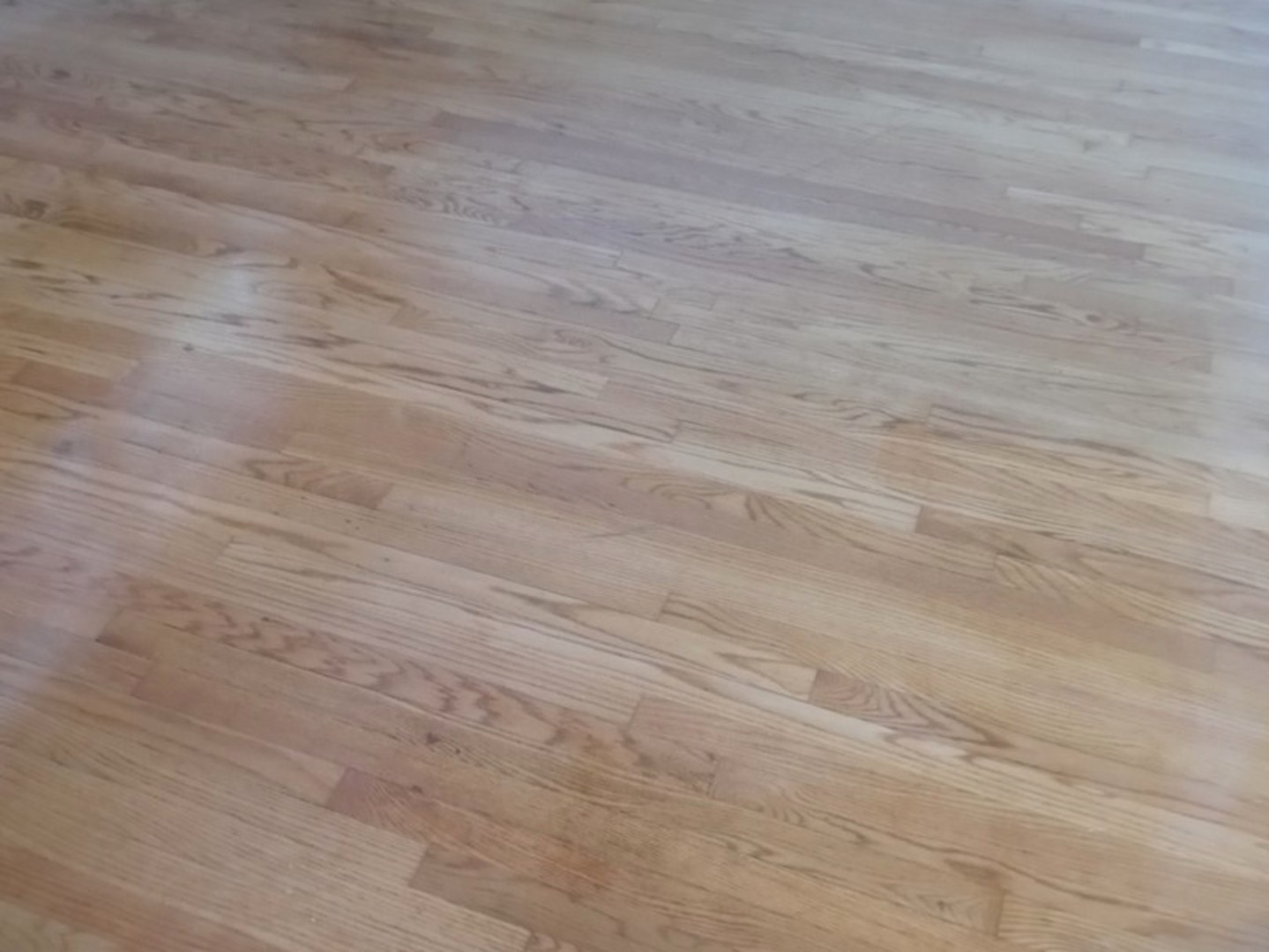 26 King Arthur Court #4, Northlake, IL 60164