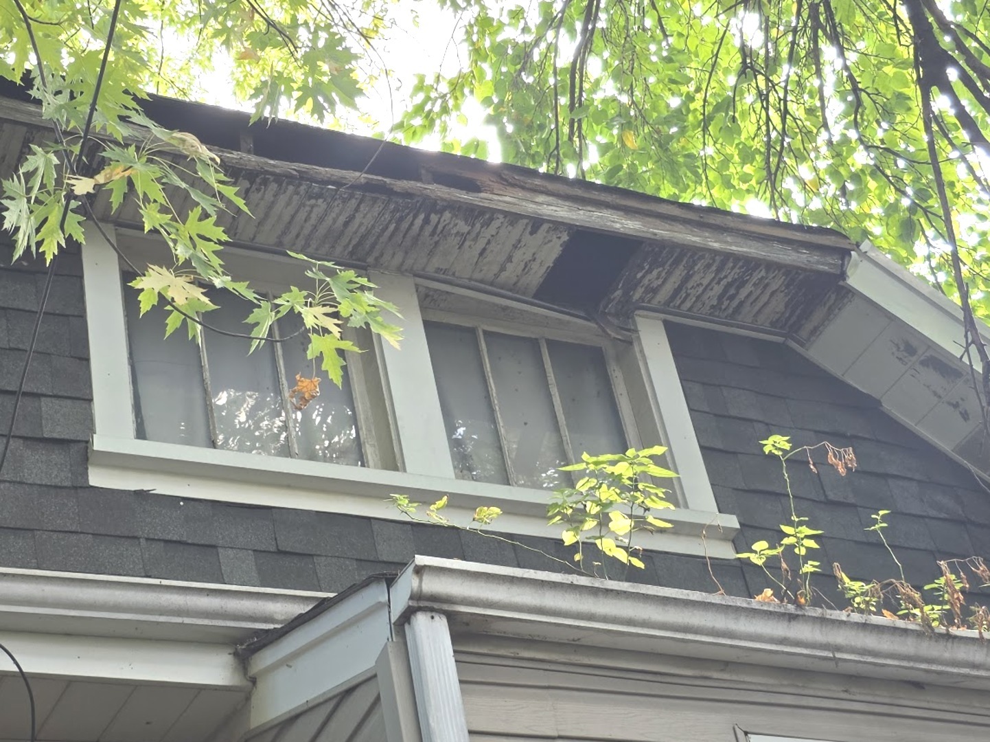 1314 58 th Court, Cicero, IL 60804