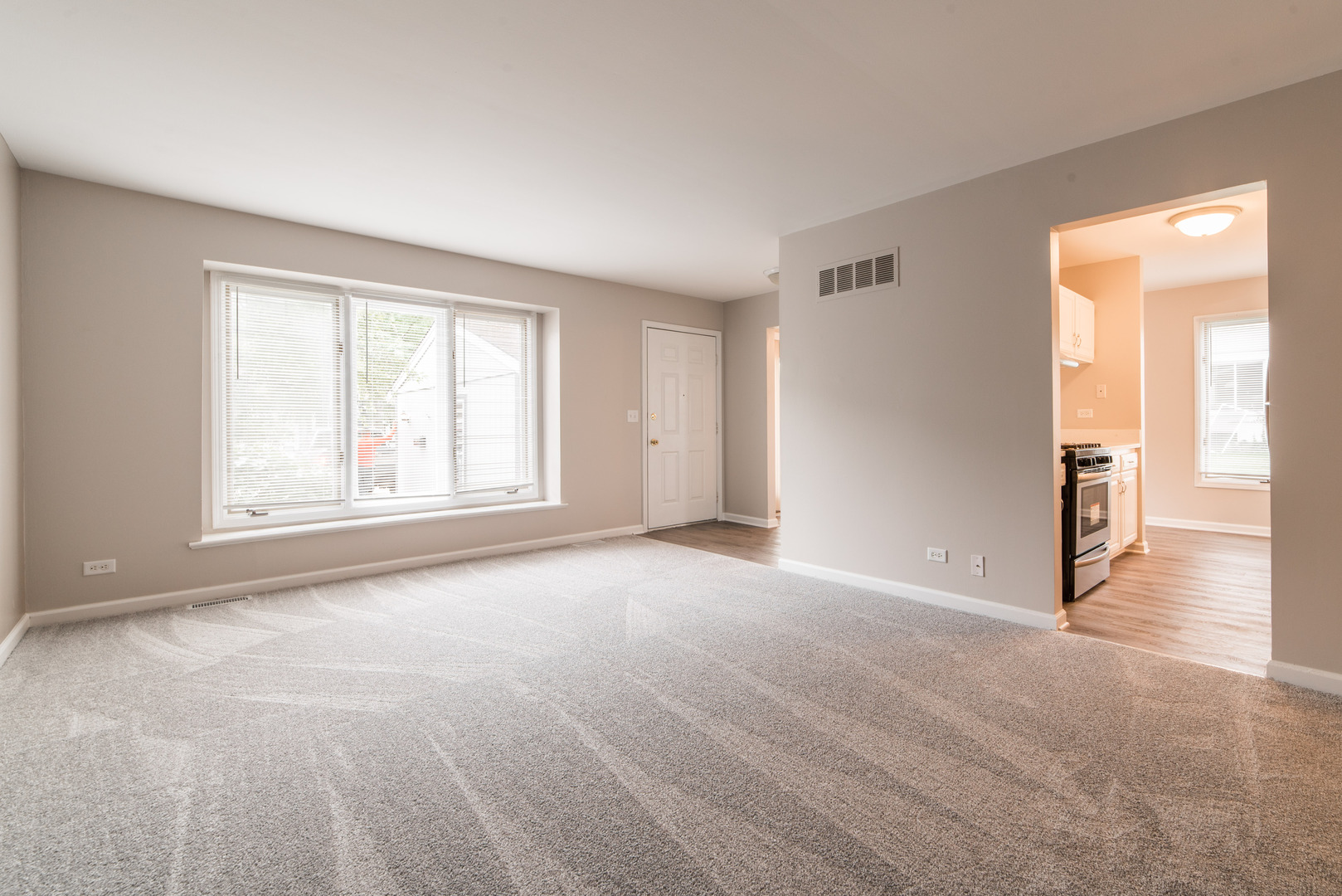 238 Driftwood Lane, Bloomingdale, IL 60108