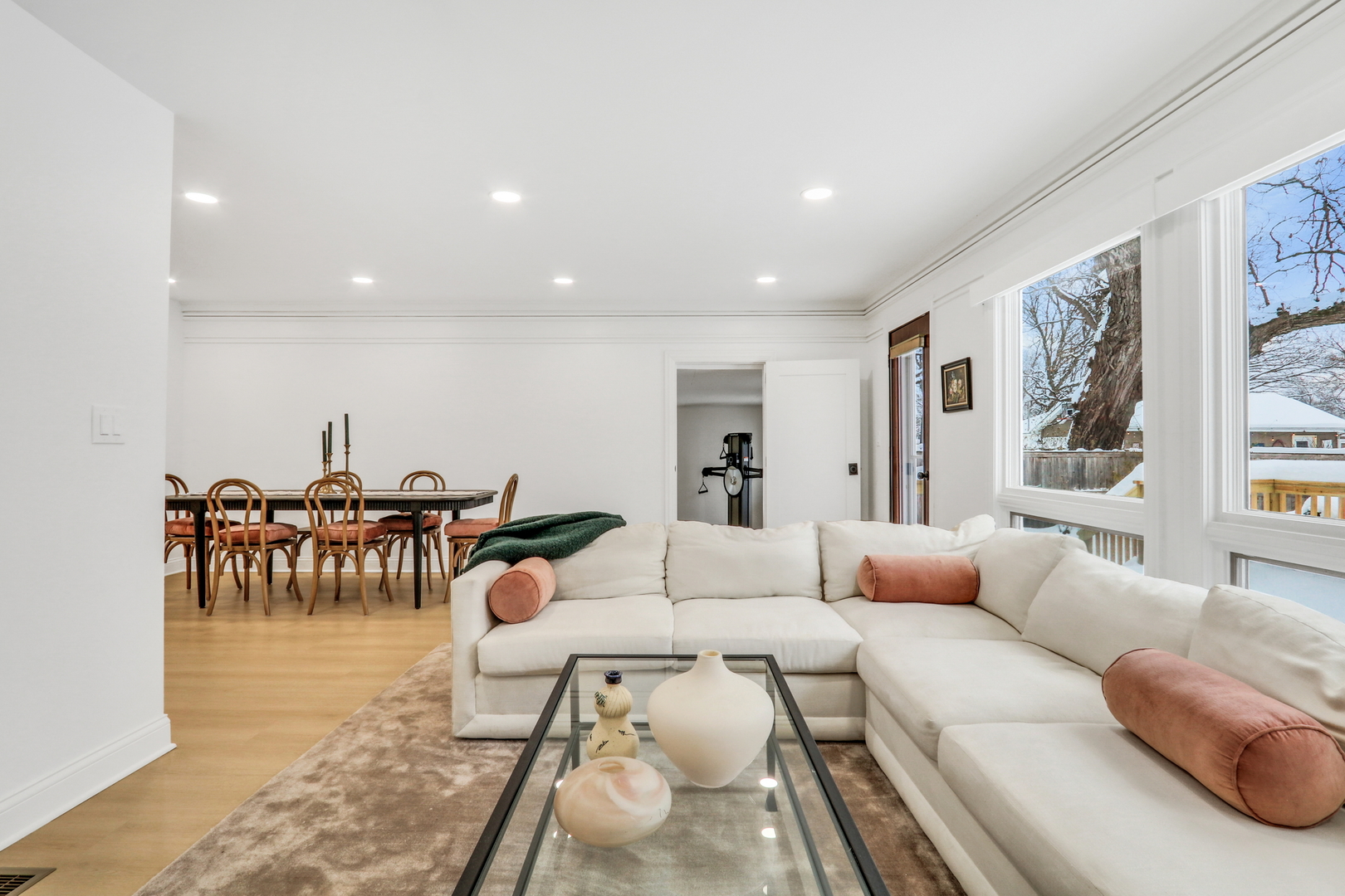 141 Park Avenue, Grayslake, IL 60030