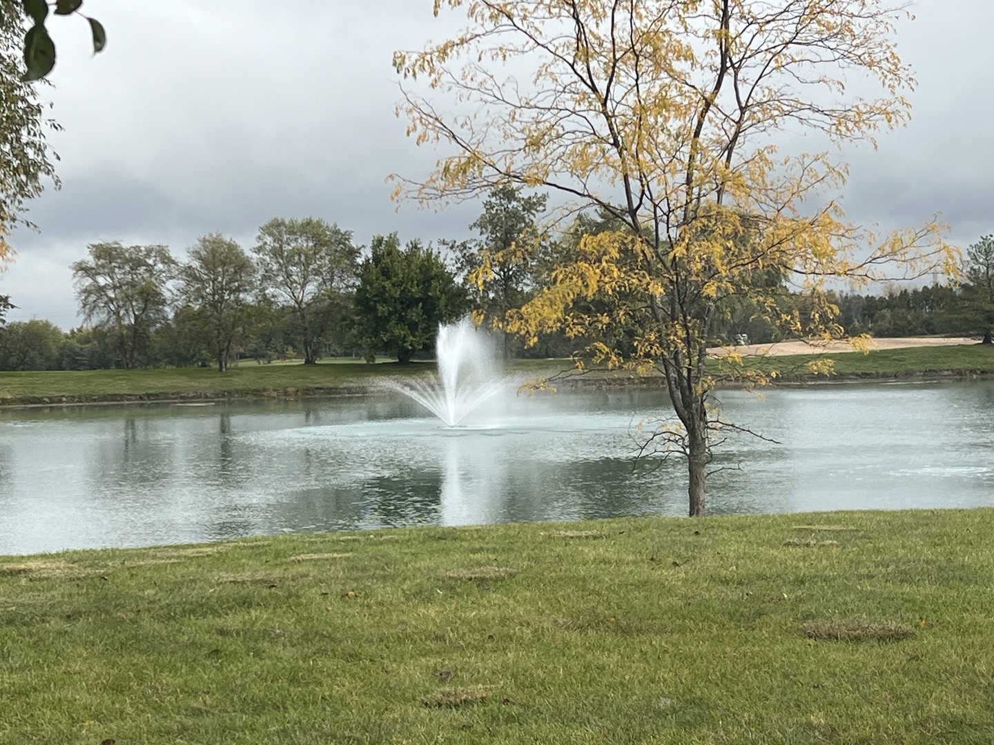 22640 Fieldstone Drive, Frankfort, IL 60423